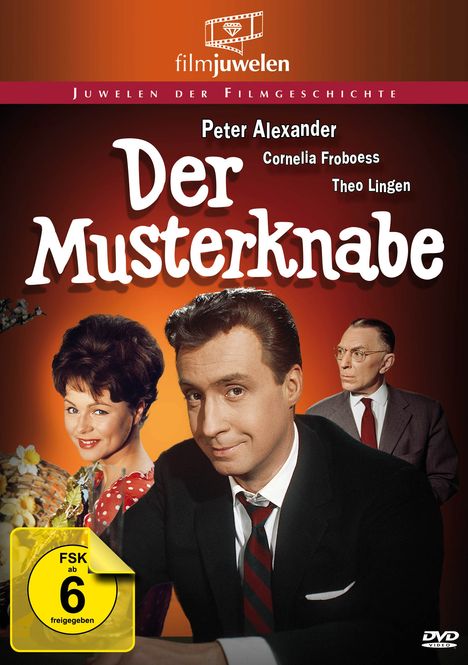 Der Musterknabe, DVD