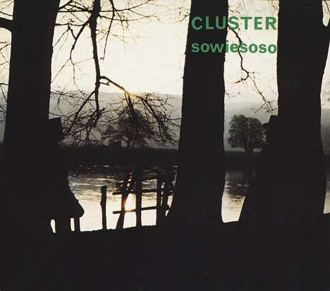 Cluster: Sowiesoso (180g), LP