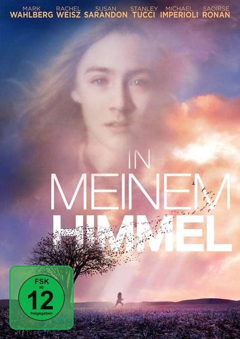 In meinem Himmel, DVD