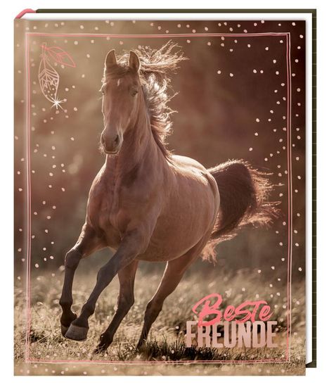 Freundebuch - I LOVE HORSES - Beste Freunde, Buch