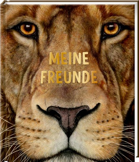 Freundebuch - Meine Freunde, Buch