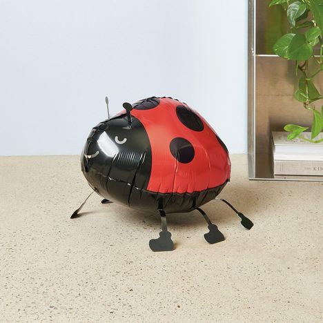 Text: "THE KIND" auf einem Buchrücken. Ein Marienkäfer-Ballon steht auf einem hellen Boden, daneben eine Pflanze.