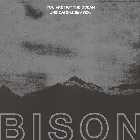 Bison: You Are Not The Ocean You Are The Patient, CD