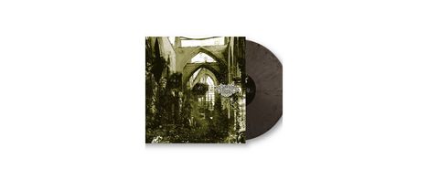 Der Weg Einer Freiheit: Agonie (Repressed 2023) (Limited Edition) (Blade Bullet Vinyl), LP