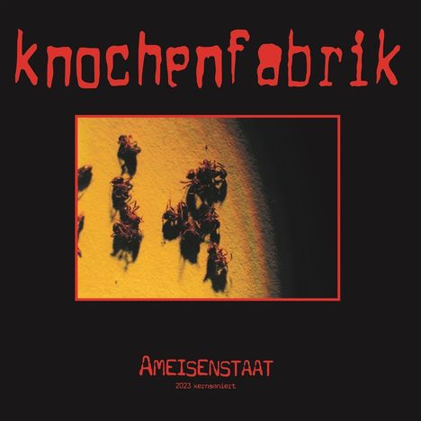 "Knochenfabrik" oben, "Ameisenstaat" und "2023 kernsaniert" unten. Bild: Viele Ameisen auf gelbem Hintergrund.