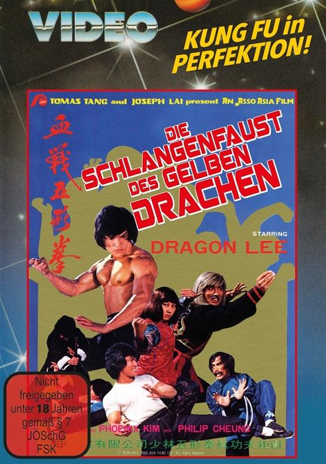 Texte: "VIDEO", "KUNG FU in PERFEKTION!", "DIE SCHLANGENFAUST DES GELBEN DRACHEN", "DRAGON LEE". Kung Fu Illustration.