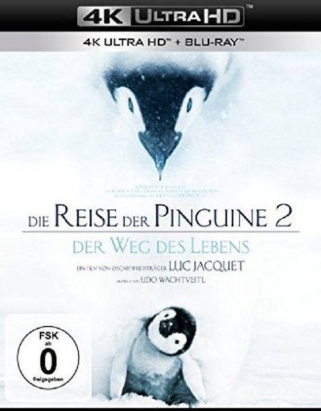 Die Reise der Pinguine 2 - Der Weg des Lebens (Ultra HD Blu-ray &amp; Blu-ray), 1 Ultra HD Blu-ray und 1 Blu-ray Disc