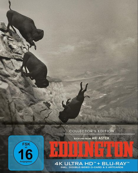 "EDDINGTON, Buch und Regie Ari Aster, FSK ab 16 freigegeben, 4K Ultra HD + Blu-ray. Bisonherde stürzt über Klippe."