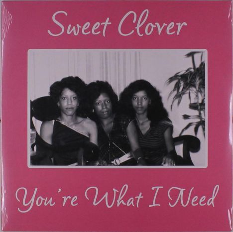 Sweet Clover: You're What I Need, Single 12"