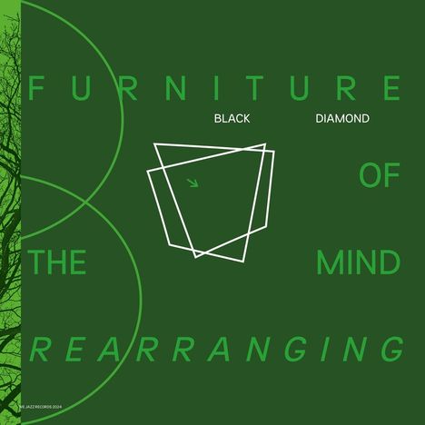 Black Diamond: Furniture Of the Mind Rearranging, 2 LPs