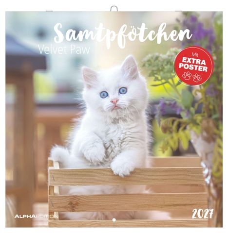 Texts: "Samtpfötchen", "Velvet Paw", "Mit EXTRA POSTER", "2024". A fluffy white kitten in a wooden box, surrounded by flowers.