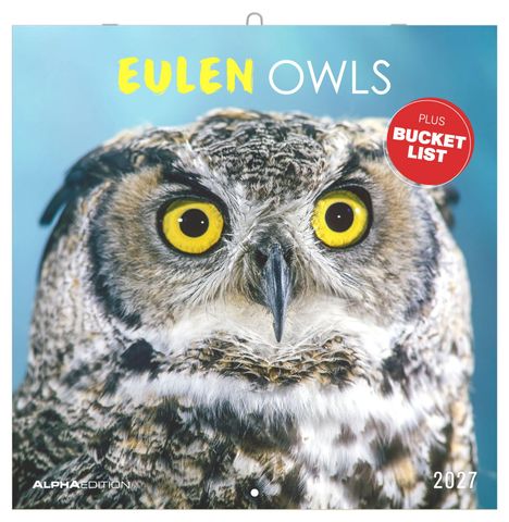 "Eulen Owls", "Plus Bucket List", "2027". Großaufnahme einer Eule mit gelben Augen vor blauem Hintergrund.