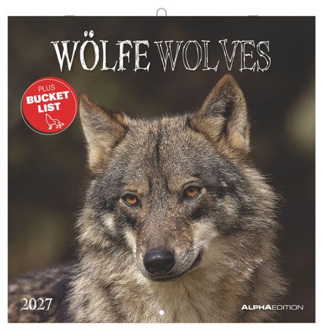"WÖLFE WOLVES", "PLUS BUCKET LIST", "2027". Großaufnahme eines Wolfkopfes in natürlicher Umgebung.