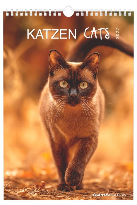 "KATZEN CATS 2027. ALPHA EDITION. Eine Katze läuft über herbstliches Laub, ihr Fell hat einen warmen Braunton."