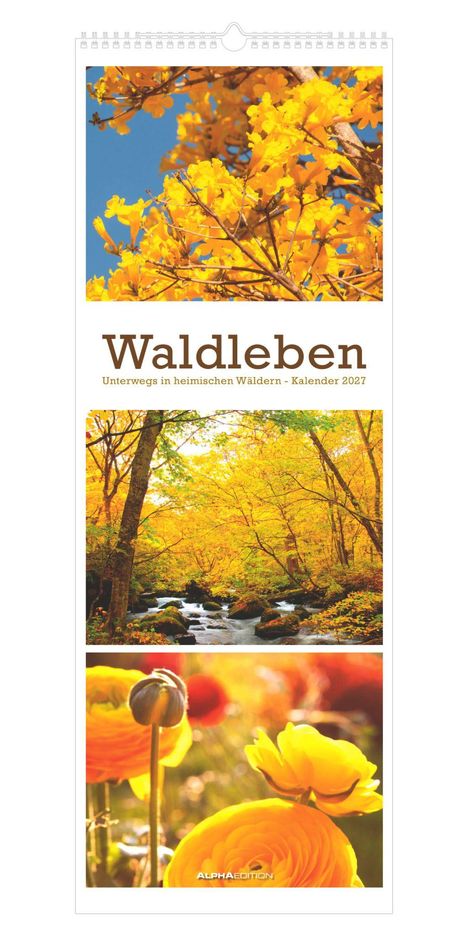 "Waldleben. Unterwegs in heimischen Wäldern – Kalender 2027". Oben gelbes Laub, darunter Bach im Wald, unten Blüten.