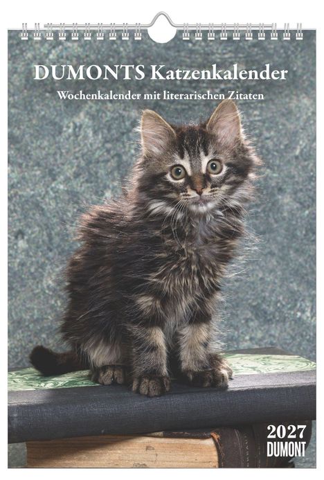 „DUMONTS Katzenkalender. Wochenkalender mit literarischen Zitaten.“ Ein flauschiges Kätzchen sitzt auf Büchern.