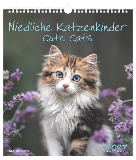 „Niedliche Katzenkinder“, „Cute Cats“, „2027“. Kätzchen mit blauem Blick, umgeben von lila Blüten.