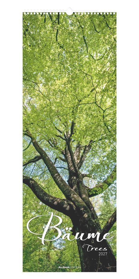 Text: "Bäume Trees 2027". Ansicht von unten auf einen Baum mit dichtem, grünem Blätterdach, gefiltertes Sonnenlicht.