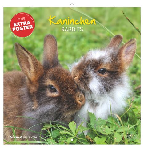 Text: "Kaninchen RABBITS", "PLUS EXTRA POSTER", "2027". Zwei flauschige Kaninchen kuscheln im Gras.