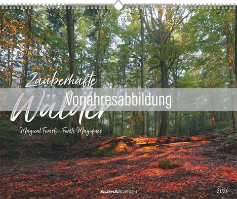 „Vorjahresabbildung“; „Zauberhafte Wälder“; Waldszene im Sonnenlicht mit buntem Blätterboden, Kalender 2024.