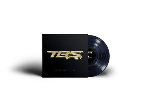 "TES" in goldener Schrift, darunter "Das schwarze Album". Eine schwarze Schallplatte ragt aus dem Cover heraus.
