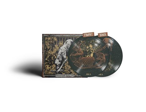 Text: "FRONT" und "BACK" auf Schildern. Kunst mit Bärenmotiv und Knochenzeichnungen auf Schallplatten.
