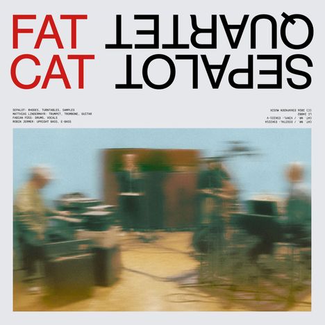 FAT CAT und SEPALOT QUARTET in großen Buchstaben. Darunter verschwommenes Bild von Musikern in einem Raum.