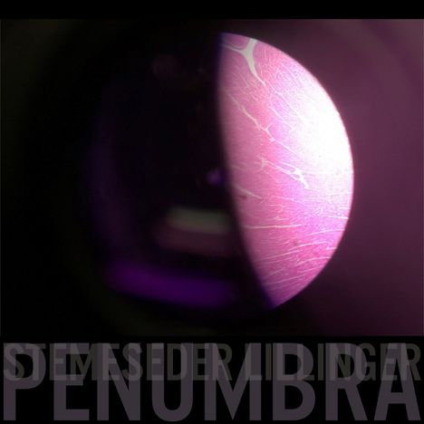 Elias Stemeseder &amp; Christian Lillinger: Penumbra (Limited Edition), LP