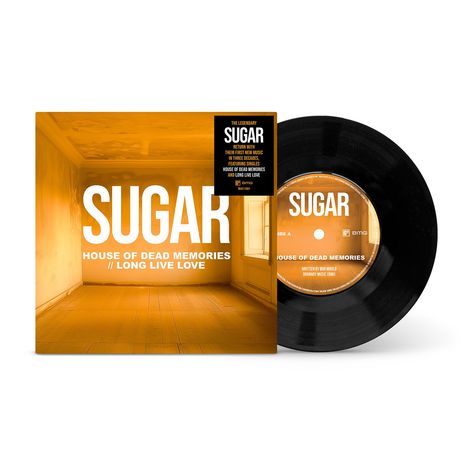"SUGAR. HOUSE OF DEAD MEMORIES // LONG LIVE LOVE." Eine Schallplatte mit einem orangefarbenen Albumcover daneben.
