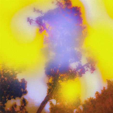 Keine Texte vorhanden. Eine abstrakte Illustration mit verschwommenen Farben, gelb und violett, die an Bäume erinnert.