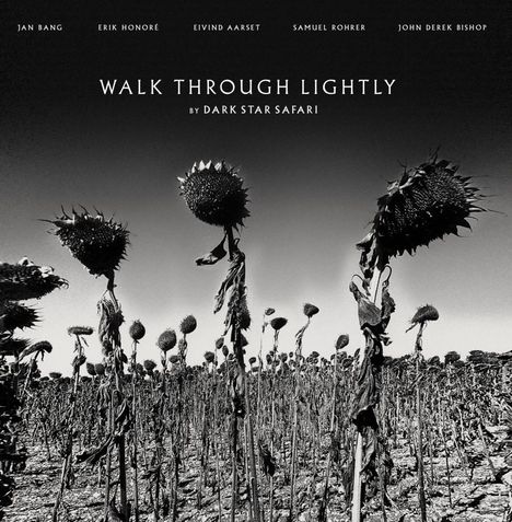 Dark Star Safari (Jan Bang, Erik Honoré &amp; Samuel Rohrer): Walk Through Lightly, LP