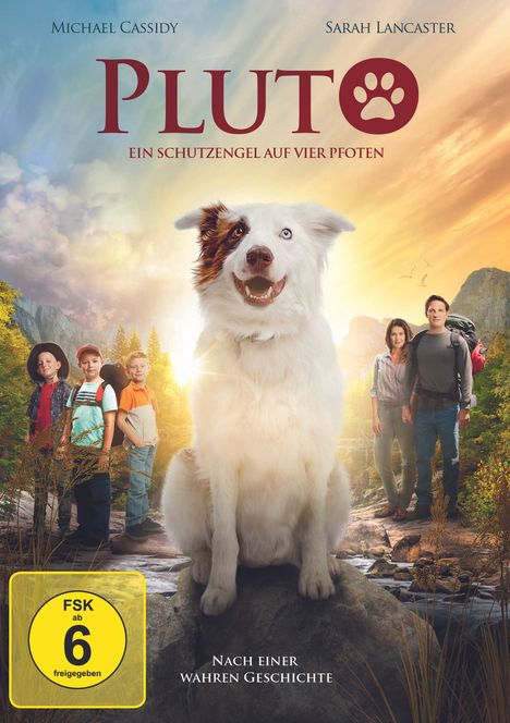 Pluto - Ein Schutzengel auf vier Pfoten, DVD