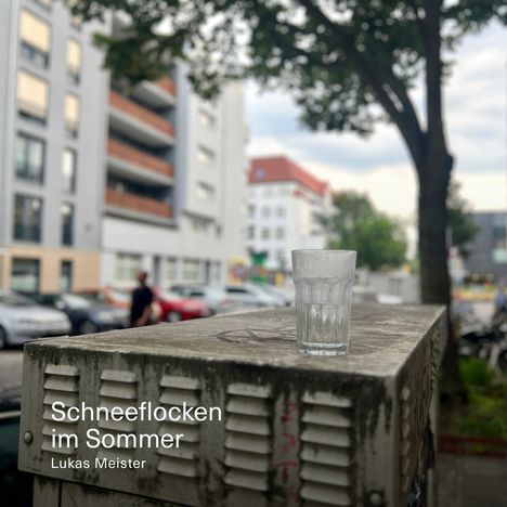 Lukas Meister: Schneeflocken im Sommer, LP