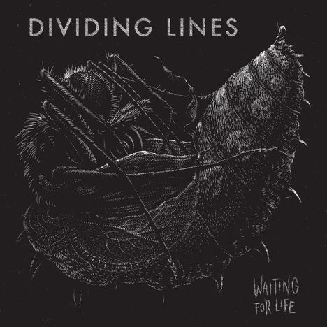 Dividing Lines: Waiting For Life, LP