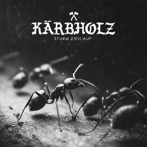 Text: "Kärbholz, Sturm zieht auf". Schwarz-Weiß-Foto von Ameisen in Nahaufnahme.