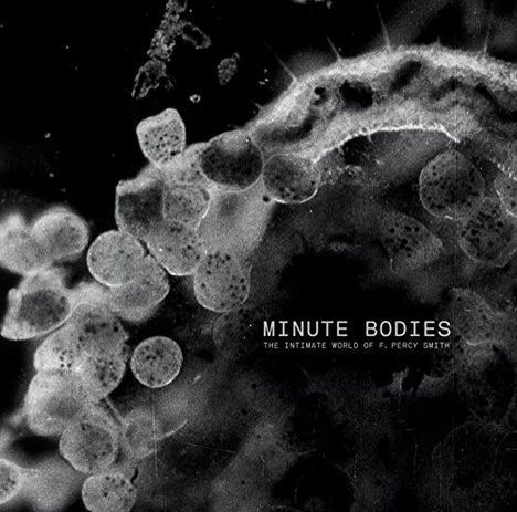 Tindersticks: Minute Bodies (180g) (Limited-Deluxe-Edition), 1 LP und 1 DVD