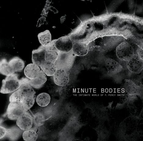 Tindersticks: Minute Bodies: The Intimate World Of F. Percy Smith (Limited Deluxe Edition), 1 CD und 1 DVD