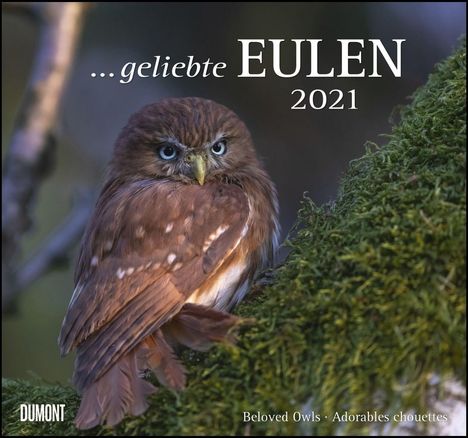 Geliebte Eulen 2021 - DuMont Wandkalender, Kalender