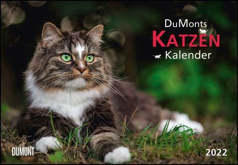 DuMonts Katzen-Kalender 2022, Kalender