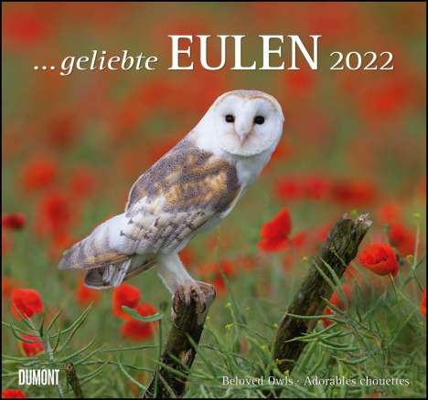 Geliebte Eulen 2022, Kalender