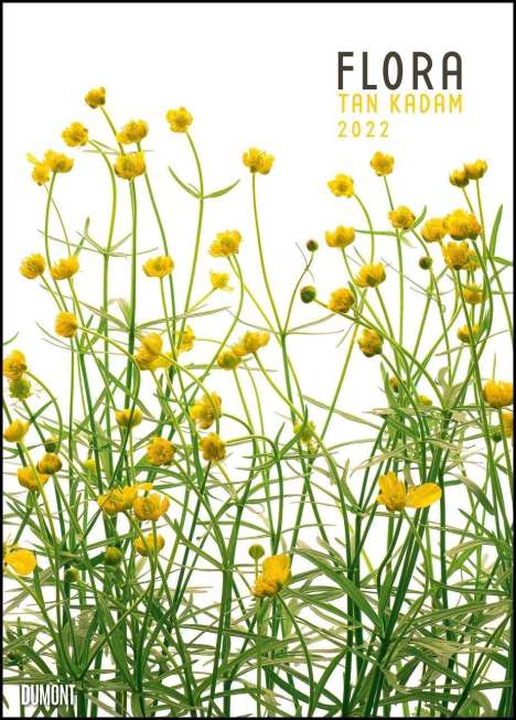 Flora 2022 - Blumen-Kalender von DUMONT- Foto-Kunst - Poster, Kalender