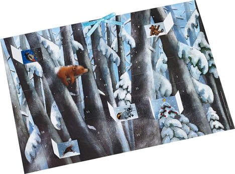 Henrike Wilson: Winter im Bärenwald Adventskalender, Diverse