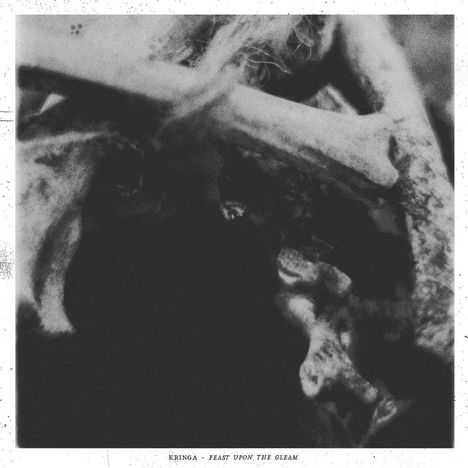 Kringa: Feast Upon The Gleam (180g), LP