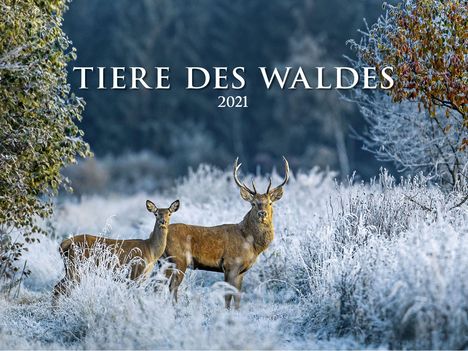 Tiere des Waldes 2021, Kalender