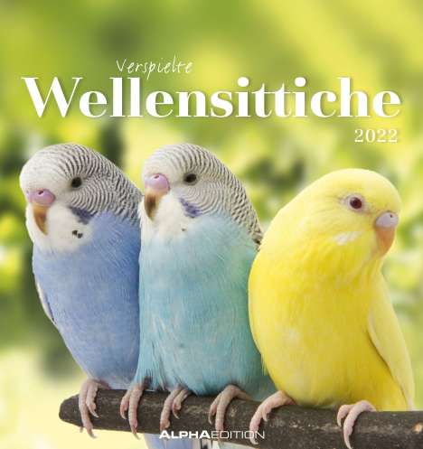 Wellensittiche 2022 - Postkartenkalender, Kalender