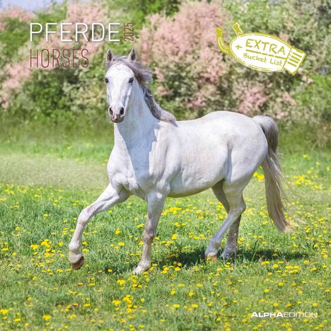 Pferde 2025 - Broschürenkalender 30x30 cm (30x60 geöffnet) - Kalender mit Platz für Notizen - Horses - Bildkalender - Wandplaner - Pferdekalender, Kalender