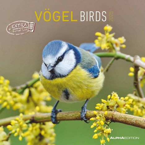 Vögel 2025 - Broschürenkalender 30x30 cm (30x60 geöffnet) - Kalender mit Platz für Notizen - Birds - Bildkalender - Wandkalender - Vogelkalender, Kalender