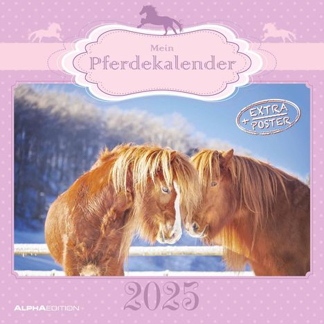 Mein Pferdekalender 2025 - Broschürenkalender 30x30 cm (30x60 geöffnet) - Kalender mit Platz für Notizen - Bildkalender - Wandplaner - Wandkalender, Kalender