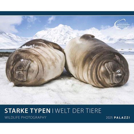 PALAZZI - Starke Typen 2025 Wandkalender, 70x50cm, Posterkalender mit brillanten Aufnahmen von WIldtieren, wunderbare Porträts und Momentaufnahmen, Textinfos, internationales Kalendarium, Kalender