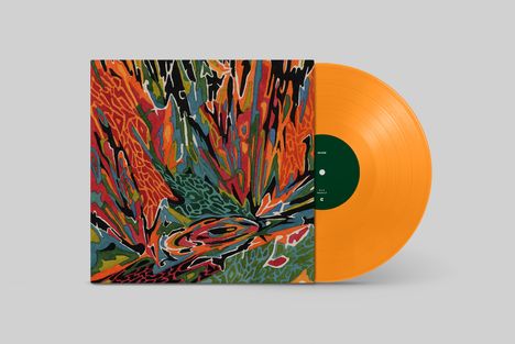 Text: "Akusmi" und "Fleeting Future". Buntes abstraktes Muster auf dem Albumcover, orangefarbene Schallplatte sichtbar.